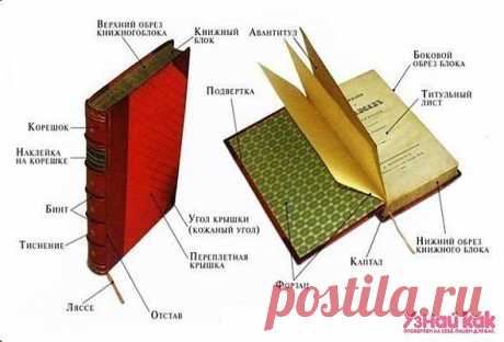 Как называются разные части книги?
