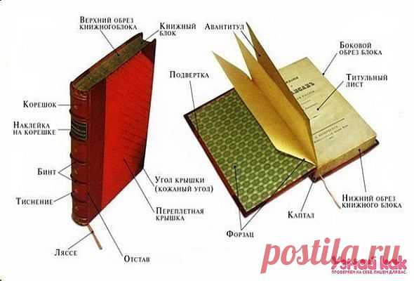Как называются разные части книги?