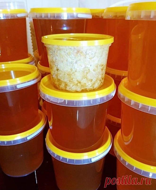 Никогда не храню эти продукты в холодильнике
Почему нельзя хранить некоторые продукты в холодильнике? Условия хранения (так и температурный режим) для всех продуктов разные. Это объясняется тем, что для одних продуктов температура холодильной камеры считается нормой, а другие при пониженной температуре начинают терять свои полезные свойства, вкусовые качества или просто гнить. Эти продукты нельзя хранить в холодильнике: 1. Мёд Мёд быстро теряет […]
Читай дальше на сайте. Жми подробнее ➡