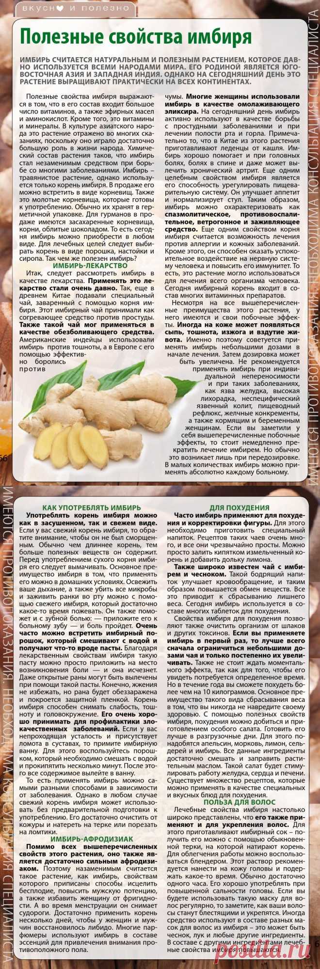 Полезные свойства имбиря