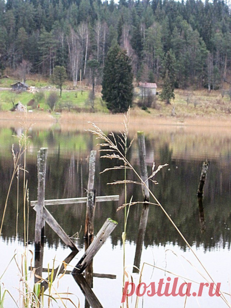 осень,сентябрь,ЛАДОГА,КАРЕЛИЯ
