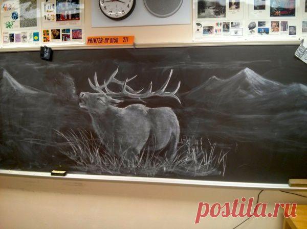 20 фотографий, когда учителя действительно круты