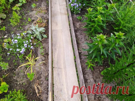 дорожки из линолеума-Смотрится аккуратно и прослужат долго. Особенно, если выбран влагостойкий материал.