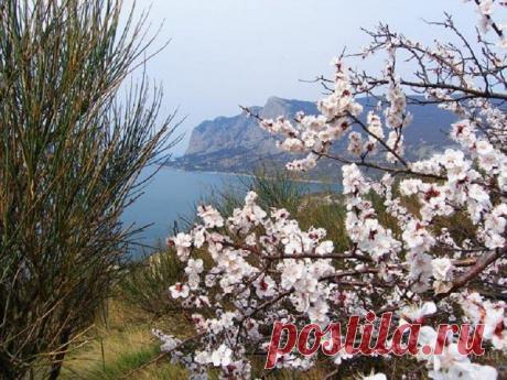 Весенний Крым