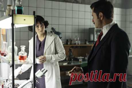 13 клиническая. Начало (2024)