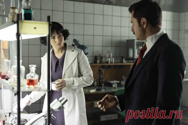 13 клиническая. Начало (2024)