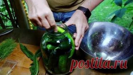 Малосольные огурчики за сутки. Обалденно вкусно!