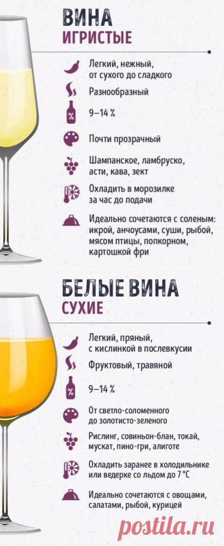 Шпаргалки для тех, кто любит вино — Кулинарная книга - рецепты с фото