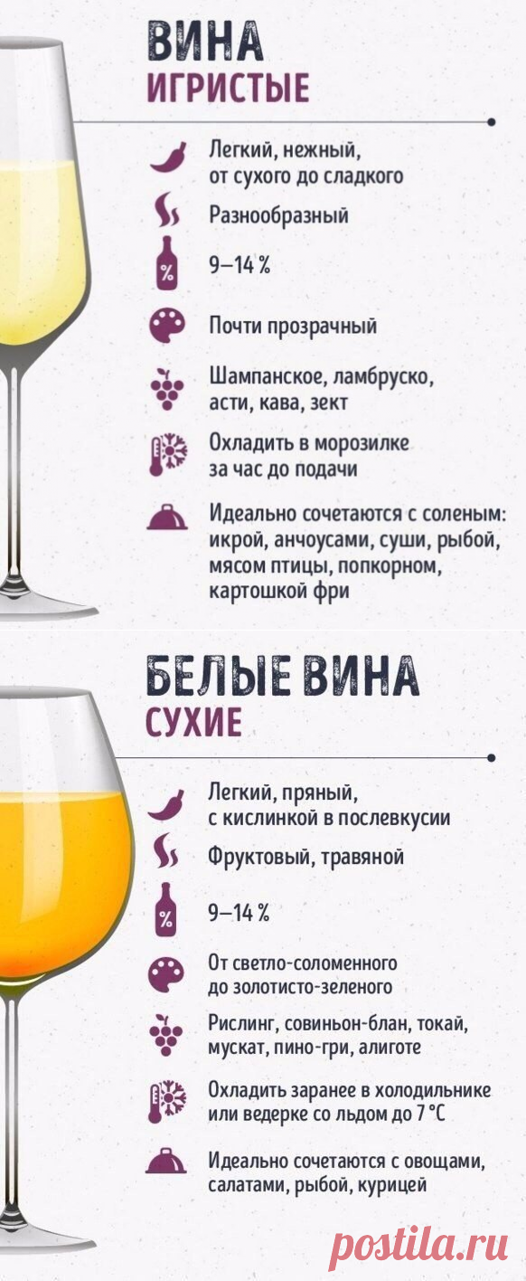 Шпаргалки для тех, кто любит вино — Кулинарная книга - рецепты с фото