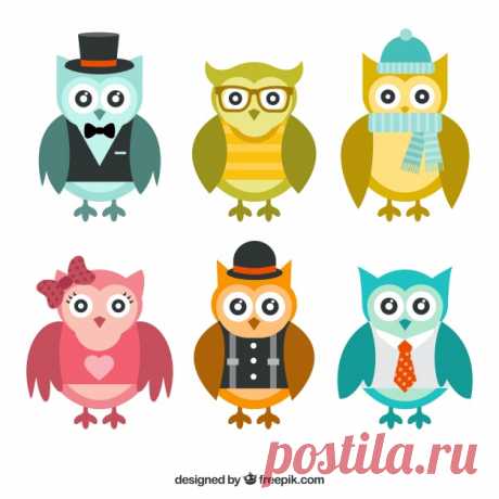 Коллекция красочных совы с одеждой Более миллиона свободных векторов, PSD, фотографии и бесплатные иконки. Эксклюзивные халявы и все графические ресурсы, которые необходимые для ваших проектов