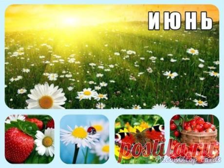 Я люблю ✿ ЦВЕТЫ ✿ | I ♥ Flowers