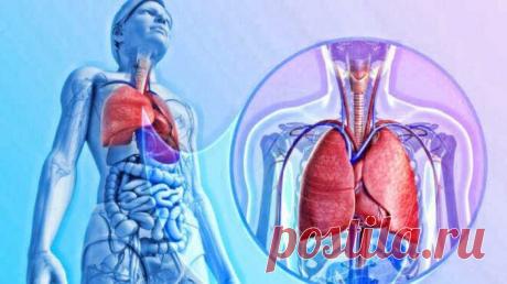 Вовремя выявить и спастись: 7 первых симптомов перехода простуды в пневмонию — Домашние заботы