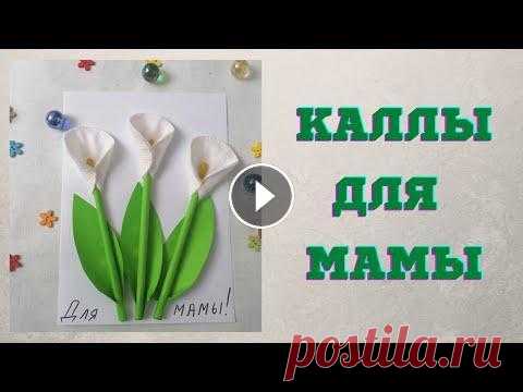 Цветы из ватных дисков - каллы для мамы В этом видео покажу, как сделать цветы из ватных дисков. Такие каллы можно подарить в виде букетика или сделать открытку, как в моем варианте. Нам пон...