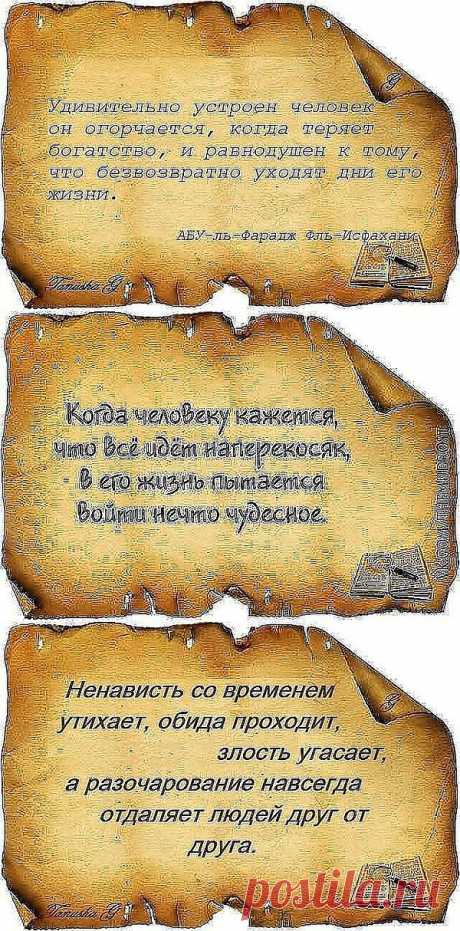 МУДРОСТИ НА ПЕРГАМЕНТЕ (ПРОДОЛЖЕНИЕ).