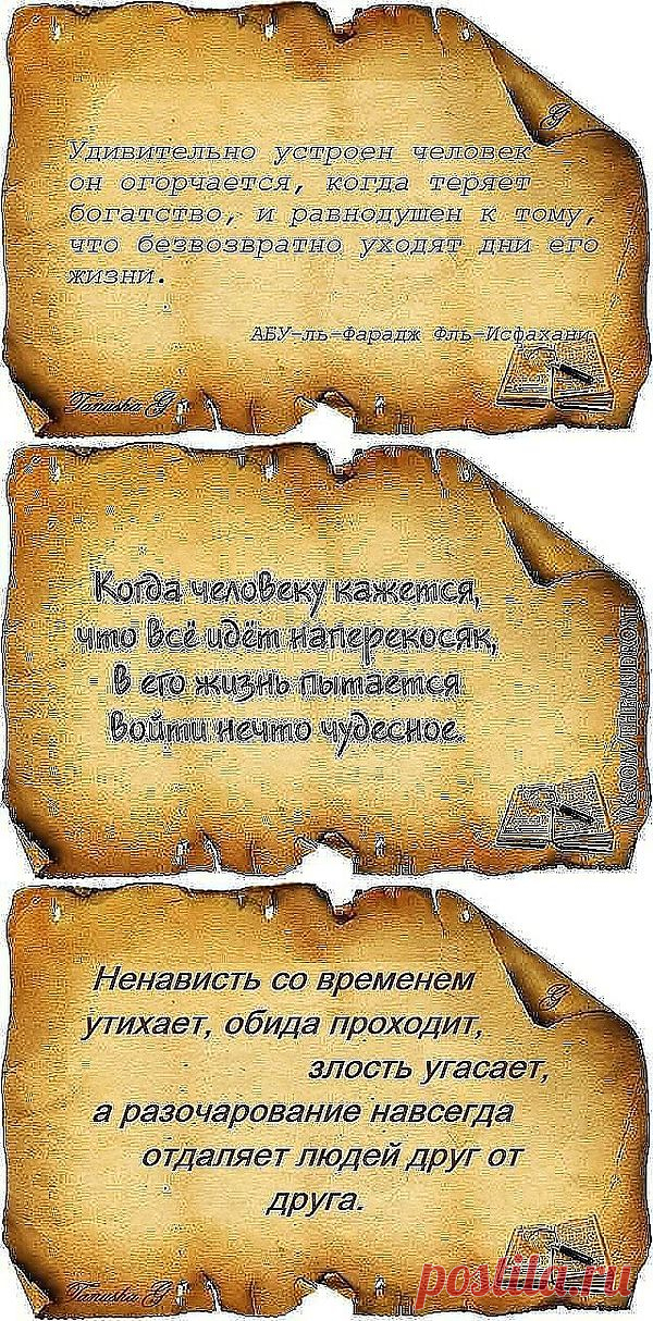 МУДРОСТИ НА ПЕРГАМЕНТЕ (ПРОДОЛЖЕНИЕ).