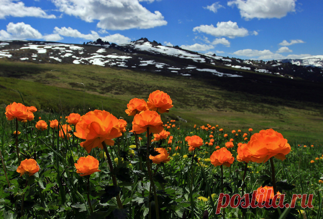 пейзажи горного алтая фото: 2 тыс изображений найдено в Яндекс.Картинках