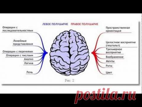 Как запустить мозги - YouTube
