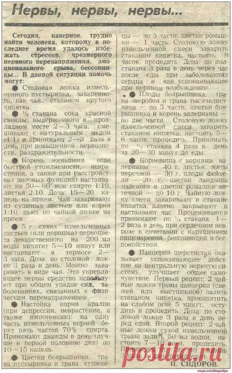 Нервы, нервы, нервы..