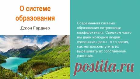 Картотека по теме: Загадки про животных для дошкольников |  | Социальная сеть работников образования