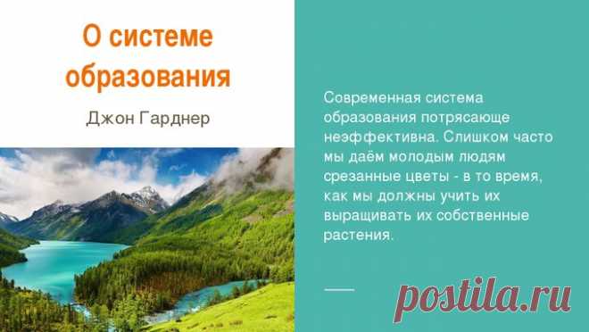 Картотека по теме: Загадки про животных для дошкольников |  | Социальная сеть работников образования