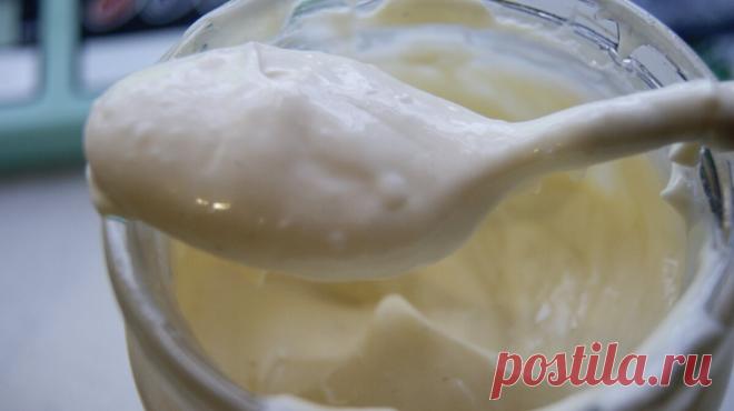 Майонез больше не покупаю! Простой рецепт вкусного, домашнего майонеза | Толстый Пони | Яндекс Дзен