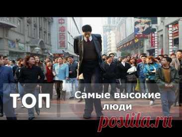 Топ 5 - Самых высоких людей в мире