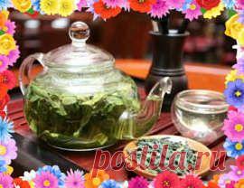 Успокоительные травы