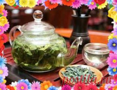 Успокоительные травы