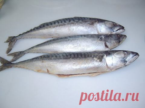 Рыбные консервы. Маринкины творинки