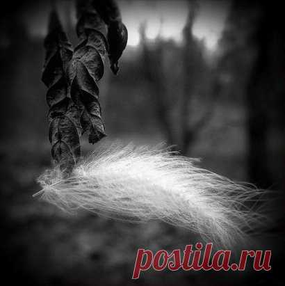 Марина Цветаева
..................................
В огромном городе моем - ночь.
Из дома сонного иду - прочь
И люди думают: жена, дочь,-
А я запомнила одно: ночь.
.
Июльский ветер мне метет - путь,
И где-то музыка в окне - чуть.
Ах, нынче ветру до зари - дуть
Сквозь стенки тонкие груди - в грудь.
.
Есть черный тополь, и в окне - свет,
И звон на башне, и в руке - цвет,
И шаг вот этот - никому - вслед,
И тень вот эта, а меня - нет.
.
Огни - как нити золотых бус,
Ночного листика во рту - вкус.
Осв