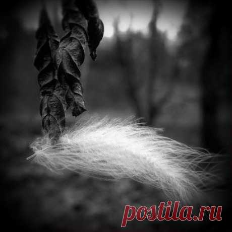 Марина Цветаева
..................................
В огромном городе моем - ночь.
Из дома сонного иду - прочь
И люди думают: жена, дочь,-
А я запомнила одно: ночь.
.
Июльский ветер мне метет - путь,
И где-то музыка в окне - чуть.
Ах, нынче ветру до зари - дуть
Сквозь стенки тонкие груди - в грудь.
.
Есть черный тополь, и в окне - свет,
И звон на башне, и в руке - цвет,
И шаг вот этот - никому - вслед,
И тень вот эта, а меня - нет.
.
Огни - как нити золотых бус,
Ночного листика во рту - вкус.
Осв