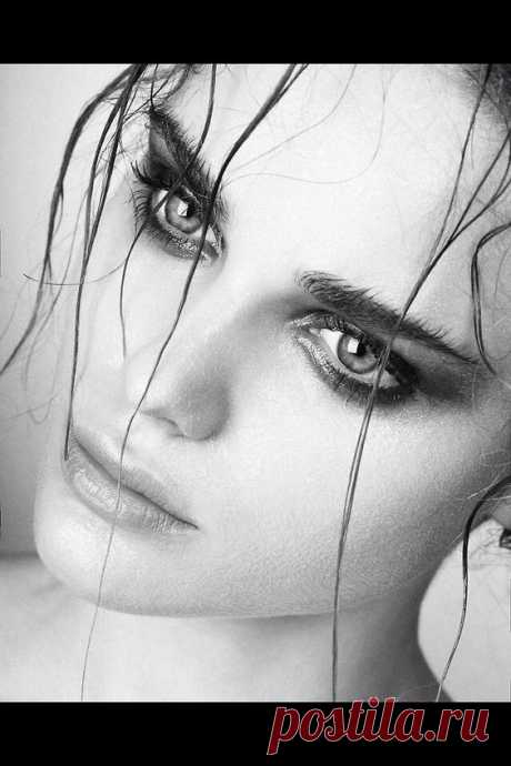(206) Pinterest