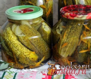 Огурцы закусочные 