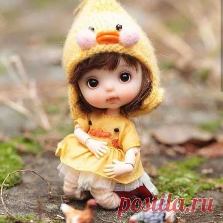 автор @rodgerdollob11