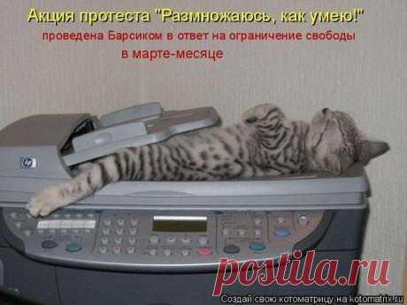 Интересные новости