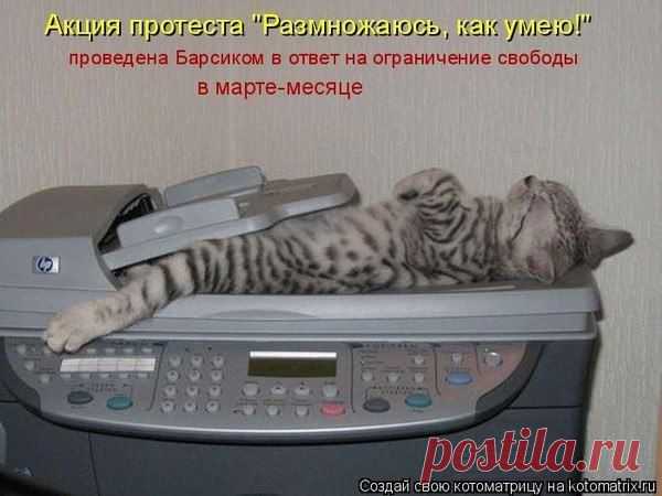 Интересные новости