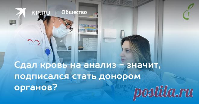 5-10-23- Сдал кровь на анализ - значит, подписался стать донором органов? Чем мы рискуем, ставя подпись в 