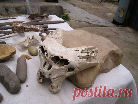 Этот череп хранится у местного жителя в Лагонаки, он же его и нашёл в том же районе. Что за чудо, не известно.