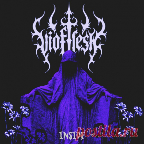 Vioflesh - Inside (Single) (2025) 320kbps / FLAC