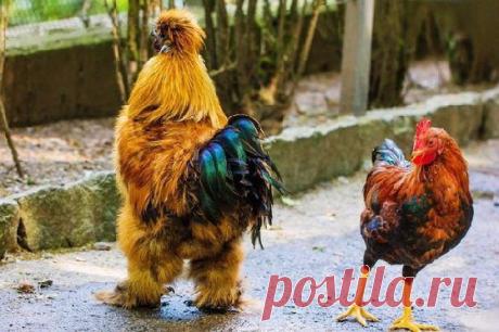 Мой Мир@Mail.Ru
