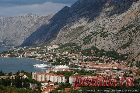 Kotor