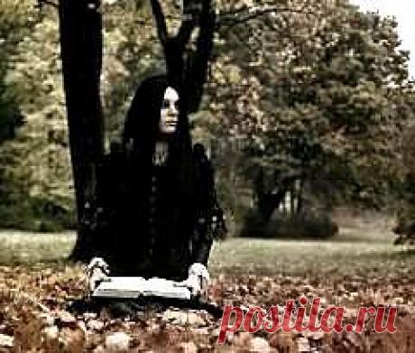 Почему полезно знать стихотворные размеры, или «Не мог он ямба от хорея...» | Культура, искусство, история