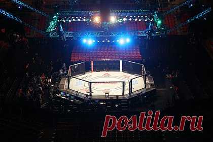 Россиянка нецензурно оценила победу в дебютном поединке в UFC. Российская девушка-боец смешанного стиля (MMA) Ирина Алексеева одержала победу в дебютном поединке в Абсолютном бойцовском чемпионате (UFC). 32-летняя спортсменка оказалась сильнее швейцарки Стефани Эггер в легчайшей весовой категории. «********** себя чувствую вообще», — нецензурно оценила она результат.
