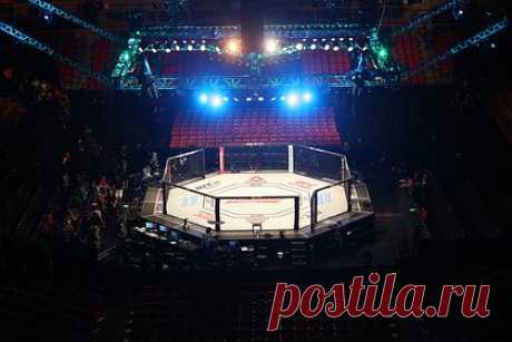 Россиянка нецензурно оценила победу в дебютном поединке в UFC. Российская девушка-боец смешанного стиля (MMA) Ирина Алексеева одержала победу в дебютном поединке в Абсолютном бойцовском чемпионате (UFC). 32-летняя спортсменка оказалась сильнее швейцарки Стефани Эггер в легчайшей весовой категории. «********** себя чувствую вообще», — нецензурно оценила она результат.