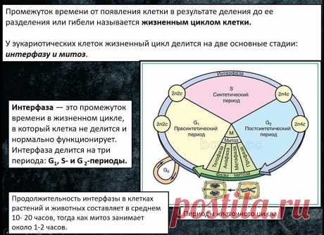 RK_koY355VM.jpg (1280×929)