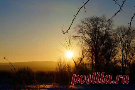 ФОТОМАСТЕРСКАЯ ПРИРОДЫ
Владимир Фефелов