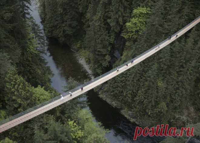 Головокружительные подвесные мосты / Туристический спутник