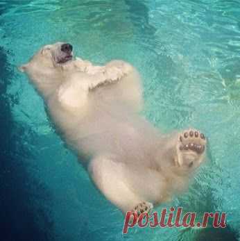 Kirill Gerusov – Google+