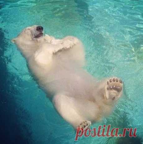 Kirill Gerusov – Google+