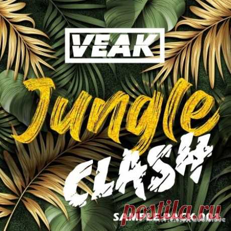 Nebula Samples Jungle Clash 1 By Veak [WAV, Synth Presets] free download mp3 music 320kbps